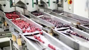 Lubricants in Food-Grade Industries